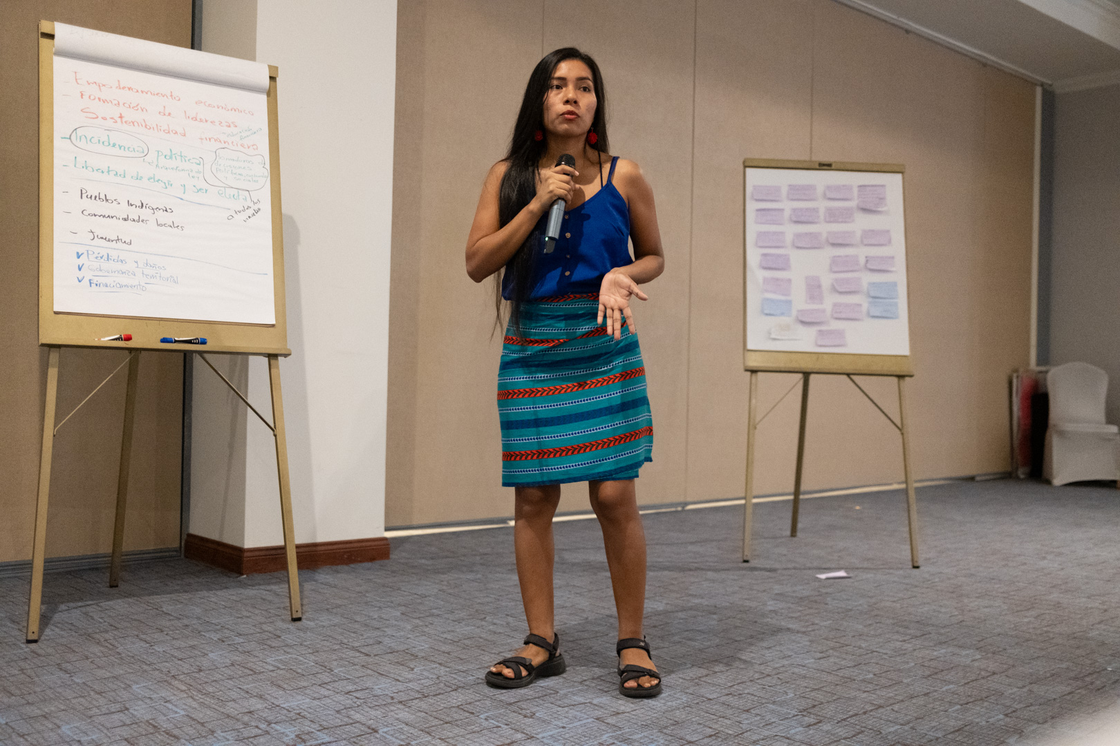 Indigenous, Afro-descendant, and Local Community Women Participate in ...