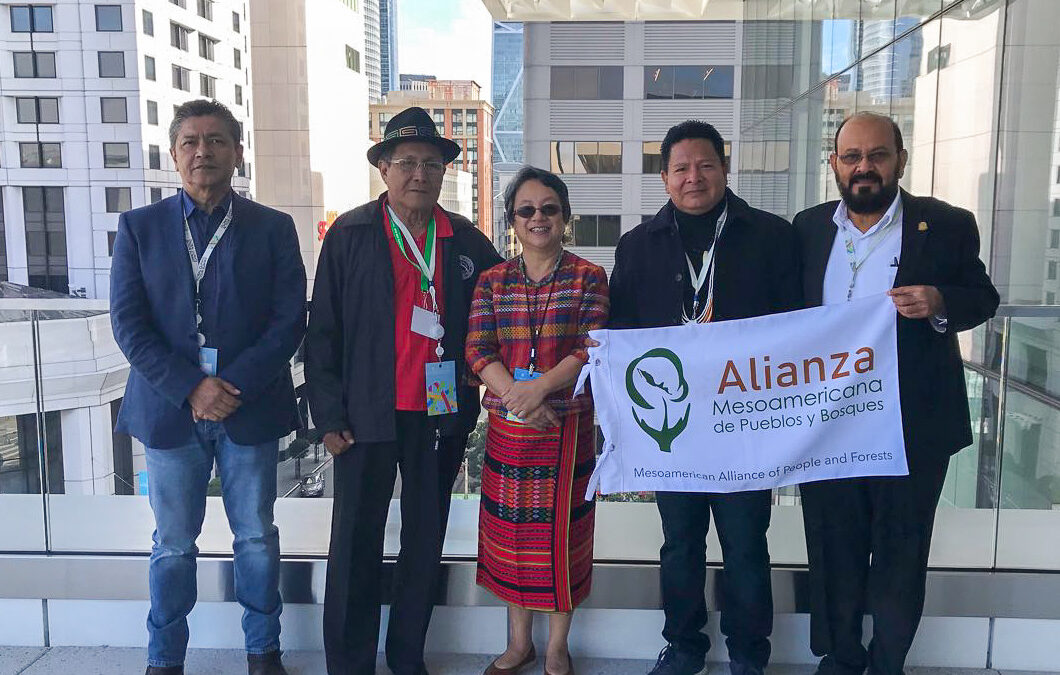 Líderes de AMPB y Relatora Especial sobre Pueblos Indígenas analizan situación de derechos territoriales en Mesoamérica