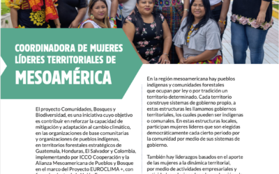 Cordinadora de Mujeres Líderes Territoriales de Mesoamérica