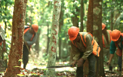 Efectividad del control y prevención de incedios forestales