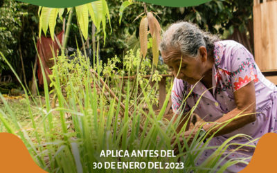 Coordinación de comunicación para la iniciativa Alianza Mesoamericana de Pueblos y Bosques